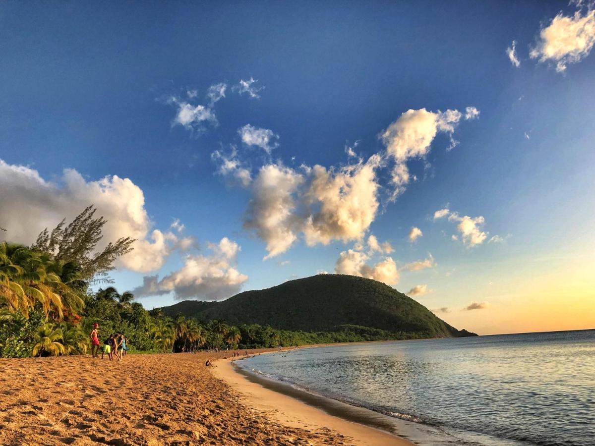 Le Surf Lodge, chambre avec vue mer dans un écrin de verdure Deshaies Exterior foto